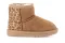Polacco con back animalier