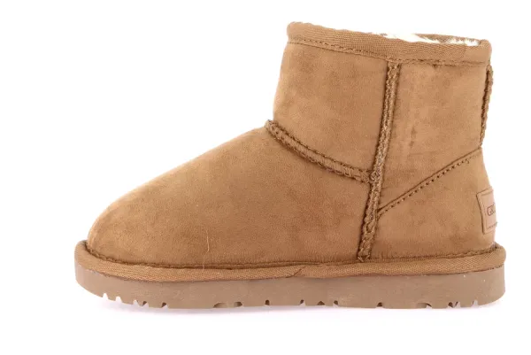 Polacco Soft Junior